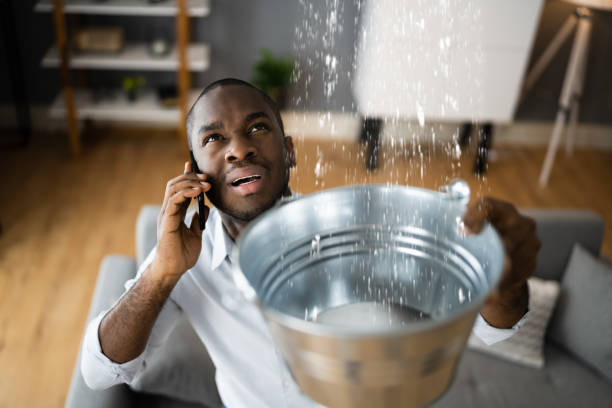 Best Water damage cleanup near me  in Siler City, NC