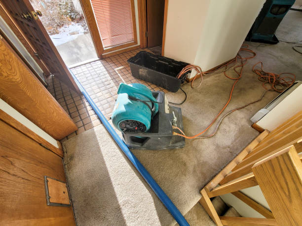 Best Basement water damage restoration  in Siler City, NC