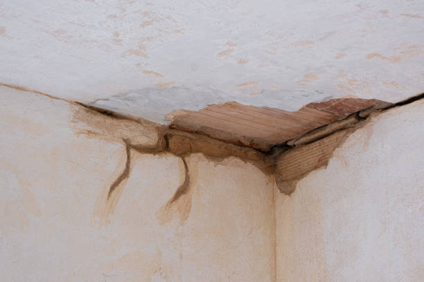 Best Carpet water damage restoration  in Siler City, NC