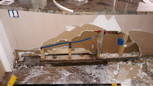 Best Water damage cleanup near me  in Siler City, NC
