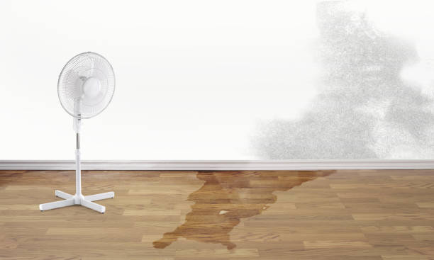 Best Flood damage cleanup  in Siler City, NC