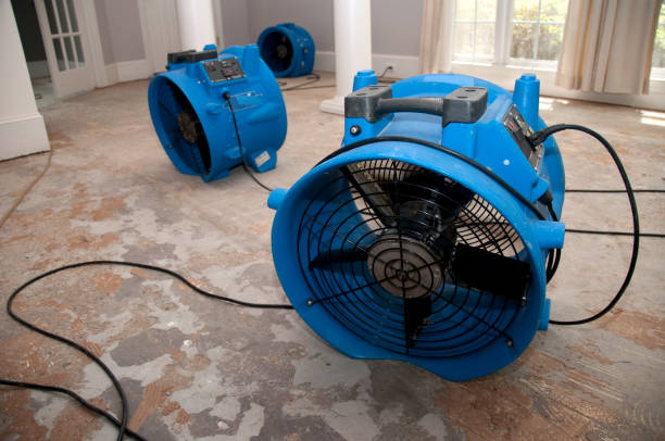 Best Flood damage cleanup  in Siler City, NC
