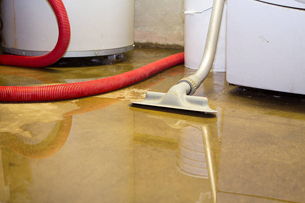 Best Fire Damage Restoration  in Siler City, NC