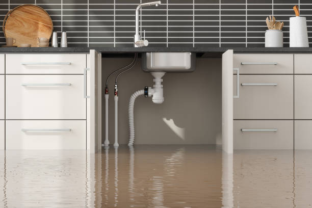  Siler City, NC Water damage restoration Pros