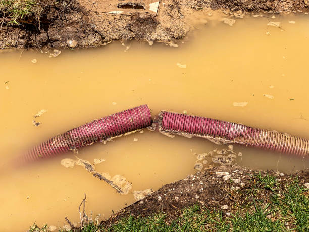 Best 24/7 water damage repair  in Siler City, NC
